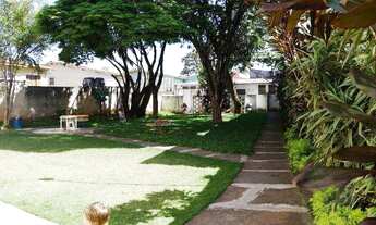 Imagem 7: Apartamento com 3 dormitórios para locação e Venda no Butantã