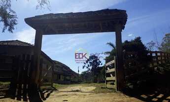 Imagem 3: Fazenda com 5 dormitórios à venda, 600000 m² por R$ 1.600.000,00 - Zona Rural - Liberdade