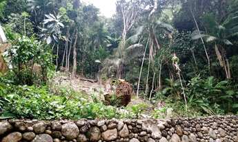 Imagem 1: Terreno à venda - Lagoinha - Ubatuba/São Paulo