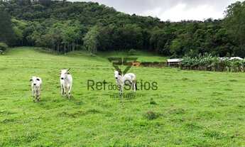 Imagem 3: Sítio 1 Quarto Rodeio - SC - Consulte