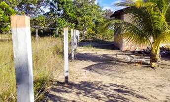 Imagem 5: Lindo Sítio Região do Bom Intento com fundo para o Rio Branco