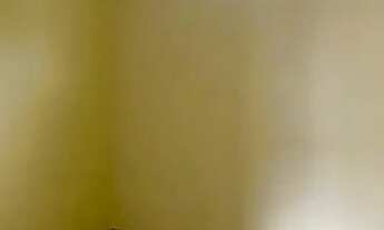 Imagem 6: Casa 2 quartos em Realengo