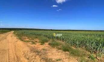 Imagem 5: Fazenda pra Arrendamento região de Canarana/ Querencia