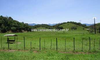 Imagem 7: Sítio estilo fazendinha com 80.000m² (8 hectares) planos (ideal para criação