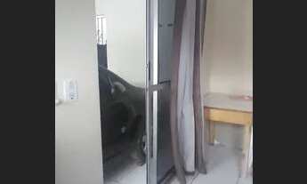 Imagem 2: Casa para venda com 160 metros quadrados com 2 quartos em Coqueiro - Belém - Pará