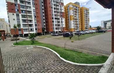 Imagem 4: Aluguel gran park pássaros