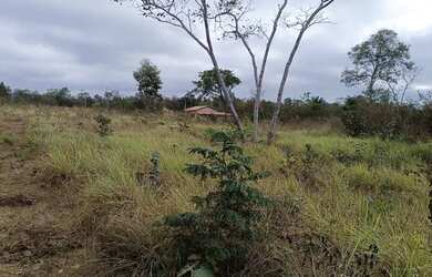 Imagem 6: Vendo Sítio com poço artesiano e casa