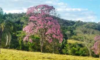 Imagem 4: Área p/ RANCHO ou CHÁCARA com água cristalina Itaberaí