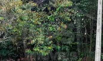 Imagem 2: Terreno Vila Suiça 200m² - Bairro Tarumã