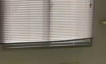 Imagem 3: Apto Eco parque mobiliado 2/4