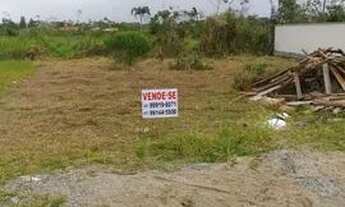 Imagem 3: Terreno na Barra do Itapocu - Ótimos preços!!