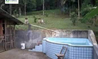 Imagem 3: Chácara à venda no bairro Rio Sagrado - Morretes/PR