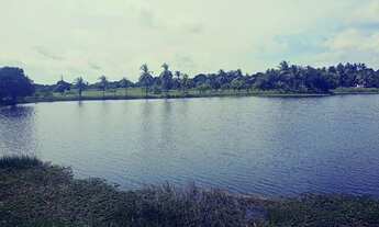 Imagem 6: Vendo Terreno Na Pindoretama Com 20 Hectares E Açude Dentro Vem Terreno Muito Bom. Conte c