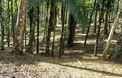 Imagem 4: Terreno à venda no bairro Barigui - Antonina/PR