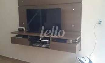 Imagem 4: São Paulo - Casa Padrão - Vila Mariana