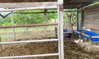 Imagem 5: Linda chácara para você que qr tranquilidade para morar ou para passar os finais de semana