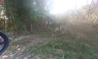 Imagem 3: Chácara 7500m² com Luz