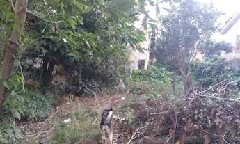 Imagem 6: Terreno para Venda - 0m², 0 dormitórios, Vila Nova