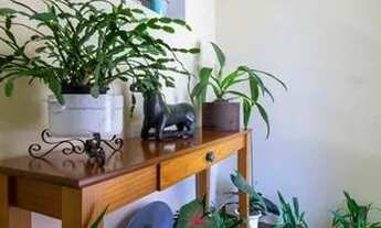 Imagem 5: Casa para Aluguel - Itaquera, 3 Quartos, 100 m2