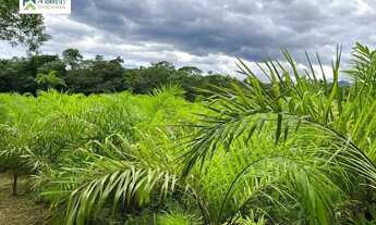 Imagem 6: Chácara à venda no bairro América de Cima - Morretes/PR