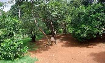 Imagem 6: Chácara de 1.000m² plantada de arvores frutíferas, em frente a uma reserva ecológica
