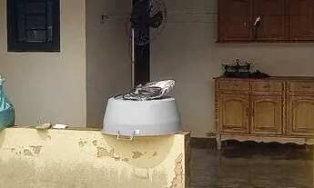 Imagem 3: Vendo uma casa no Recanto dos Pássaros 650.000