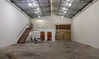 Imagem 3: Comercial GalpãoBarracão em Marília