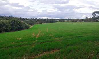 Imagem 2: Terreno 3 alqueires - beira de estrada, água e área cultivável