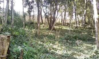 Imagem 2: Terreno com 1889 m² próximo a praça do Caputera - Aceita financiamento bancário