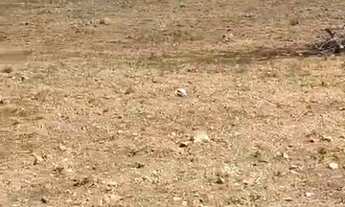 Imagem 6: SÍTIO 17 ALQUEIRES COM ESTRUTURA COMPLETA! EM NIQUELÂNDIA