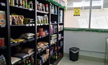 Imagem 3: Apartamento 1/4, Centro