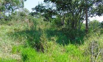 Imagem 6: Grande Terreno em Região Industrial 30.591m² em Louveira/SP