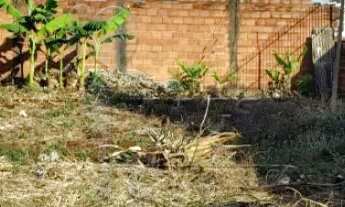 Imagem 2: Terreno de 250m² à venda - Planalto Verde