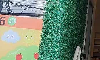 Imagem 4: Passo pet shop c/ banho e tosa