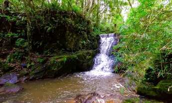 Imagem 2: Cachoeira Privativa e Potencial Hídrico: 370.261 m² para quem enxerga além do comum a 12