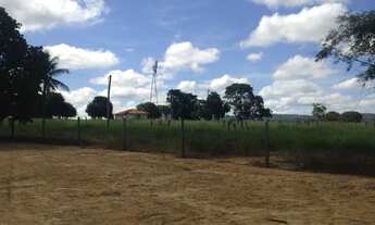Imagem 6: Oportunidade! Fazenda pecuária de 1.186 hectares com aptidão para Usina Fotovoltaica - Ar