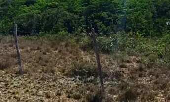 Imagem 6: Vendo ou troco terreno em São Cristóvão Se