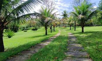 Imagem 2: Sitio de 29 mil m2 com casa linear de 7 quartos à venda em Guaratiba - Rio de Janeiro - R