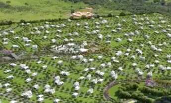 Imagem 3: Compra-se Terreno Condomínio Eplenum São José do Rio Preto