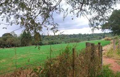 Imagem 3: Terreno 3 alqueires - beira de estrada, água e área cultivável