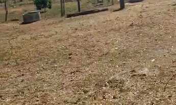 Imagem 5: SÍTIO 17 ALQUEIRES COM ESTRUTURA COMPLETA! EM NIQUELÂNDIA