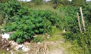 Imagem: Lote / Terreno de Bairro Para Vender no