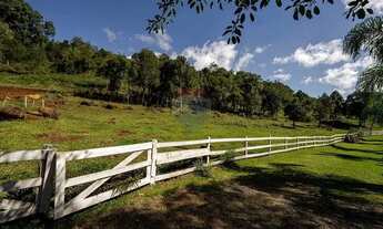 Imagem 2: Area de terra com 52 mil metros a venda