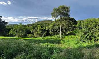 Imagem 6: Fazenda/Sítio/Chácara para venda possui 300 metros quadrados com 4 quartos