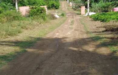 Imagem 6: Vendo Terreno no Lago do Limão