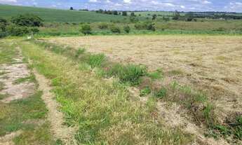 Imagem 3: Sítio de 1 hectar próximo de Holambra