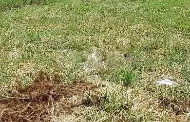 Imagem 4: Terreno residencial à venda em parque conceição ii, piracicaba