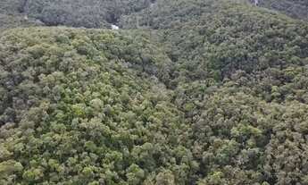 Imagem 7: Chácara 63.000 m em Campo Magro- Paraná