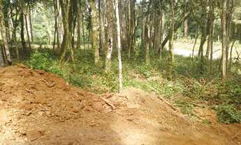 Imagem 6: Terreno 1000m2 em ibiuna