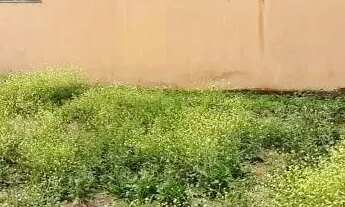 Imagem 5: TERRENO - VILA NOVA VALINHOS - SP